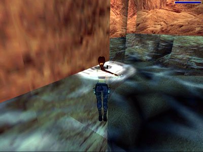 文件:Swimbug2.jpg