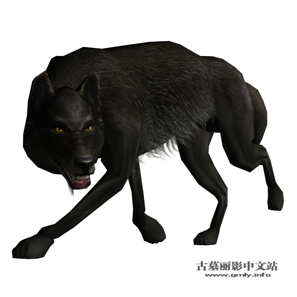 周年纪念概念图